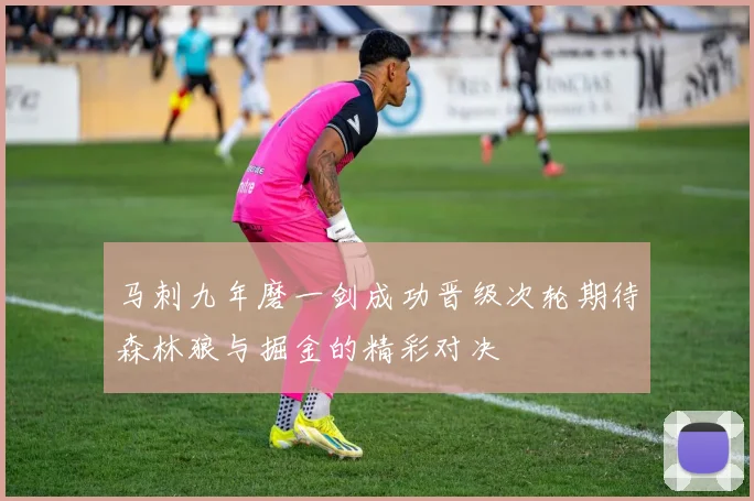 马刺九年磨一剑成功晋级次轮期待森林狼与掘金的精彩对决